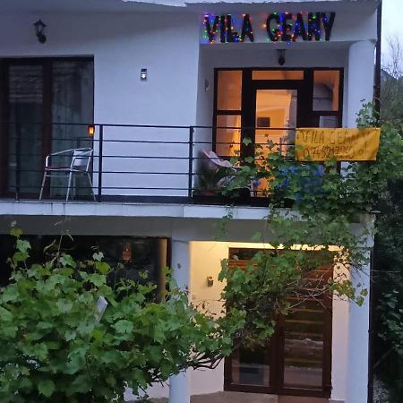 Pensiunea Vila Geany Srl Baile Herculane Exterior photo